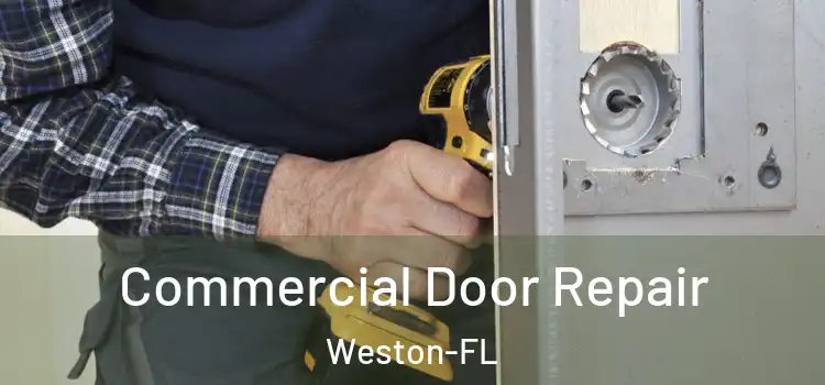 Commercial Door Repair Weston-FL