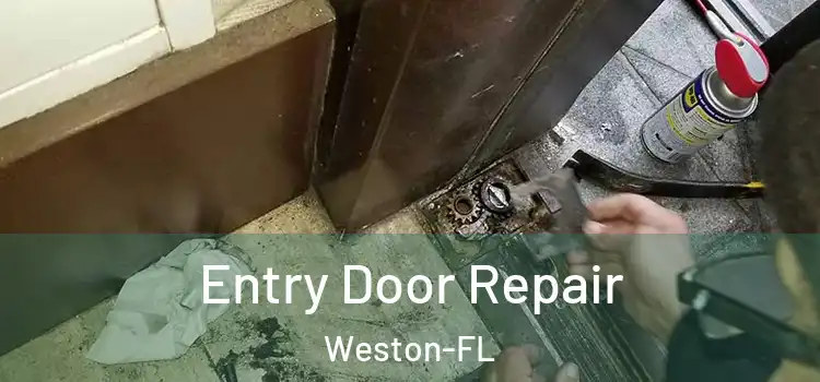 Entry Door Repair Weston-FL