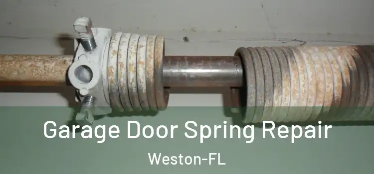 Garage Door Spring Repair Weston-FL