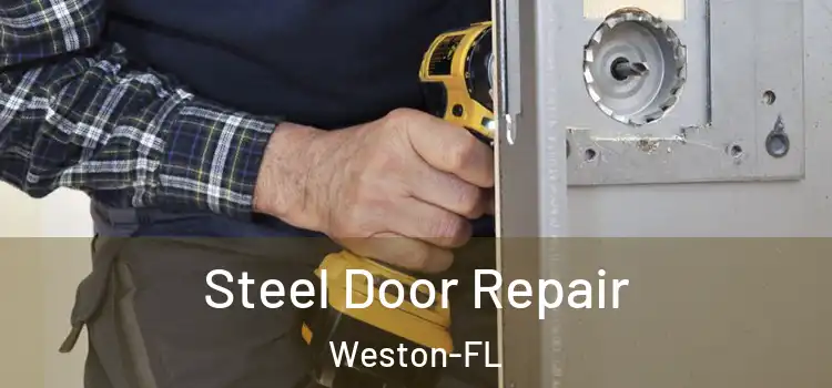 Steel Door Repair Weston-FL
